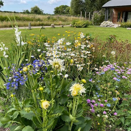 Foxglove Glastonbury Exterior foto