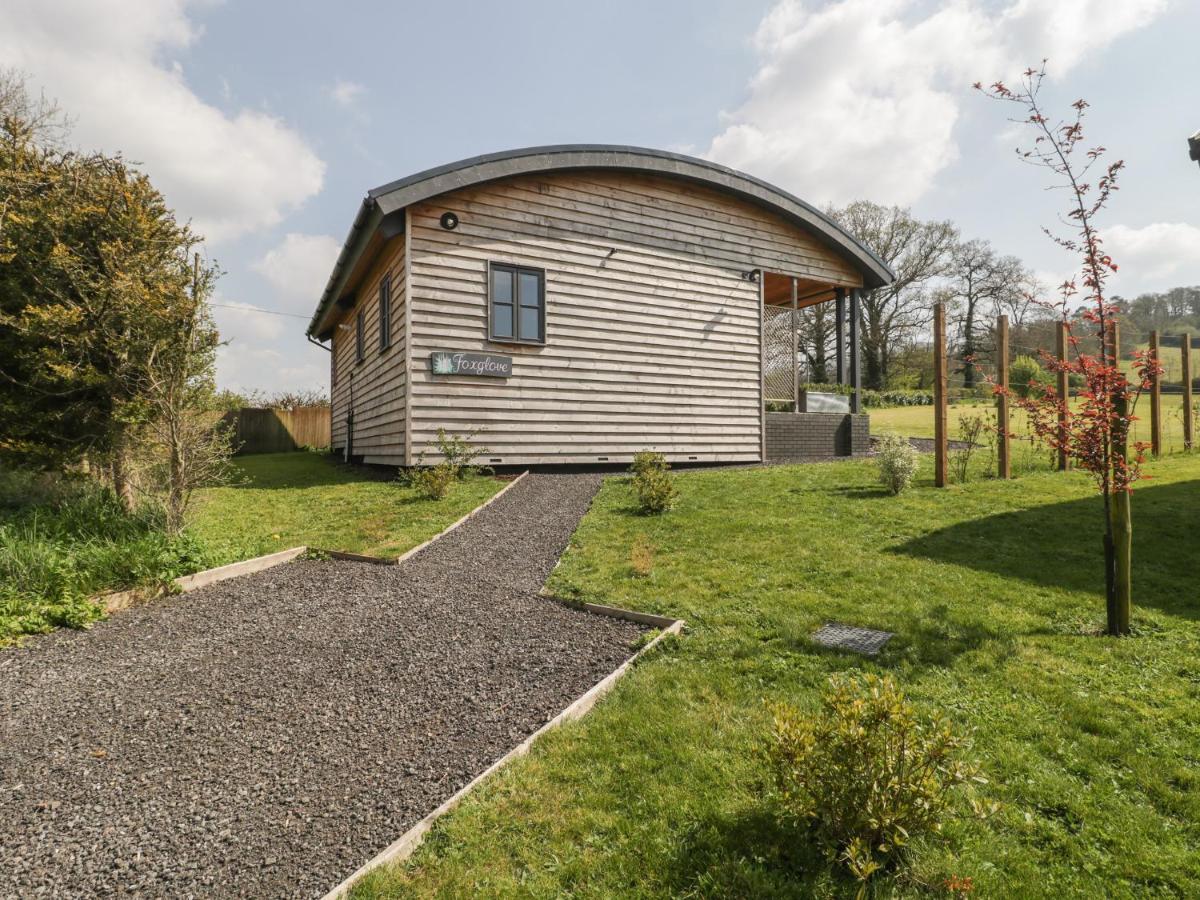 Foxglove Glastonbury Exterior foto