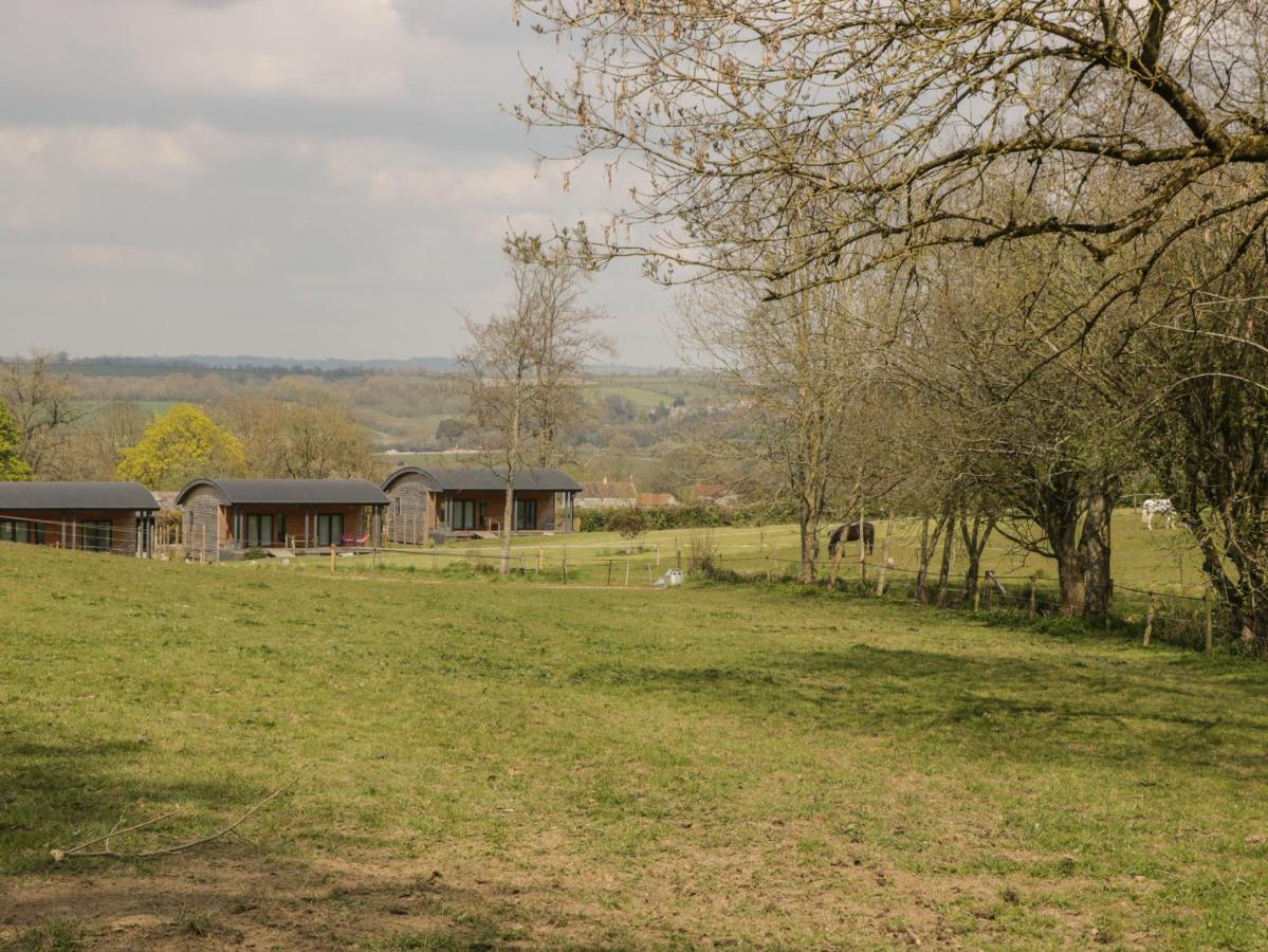 Foxglove Glastonbury Exterior foto