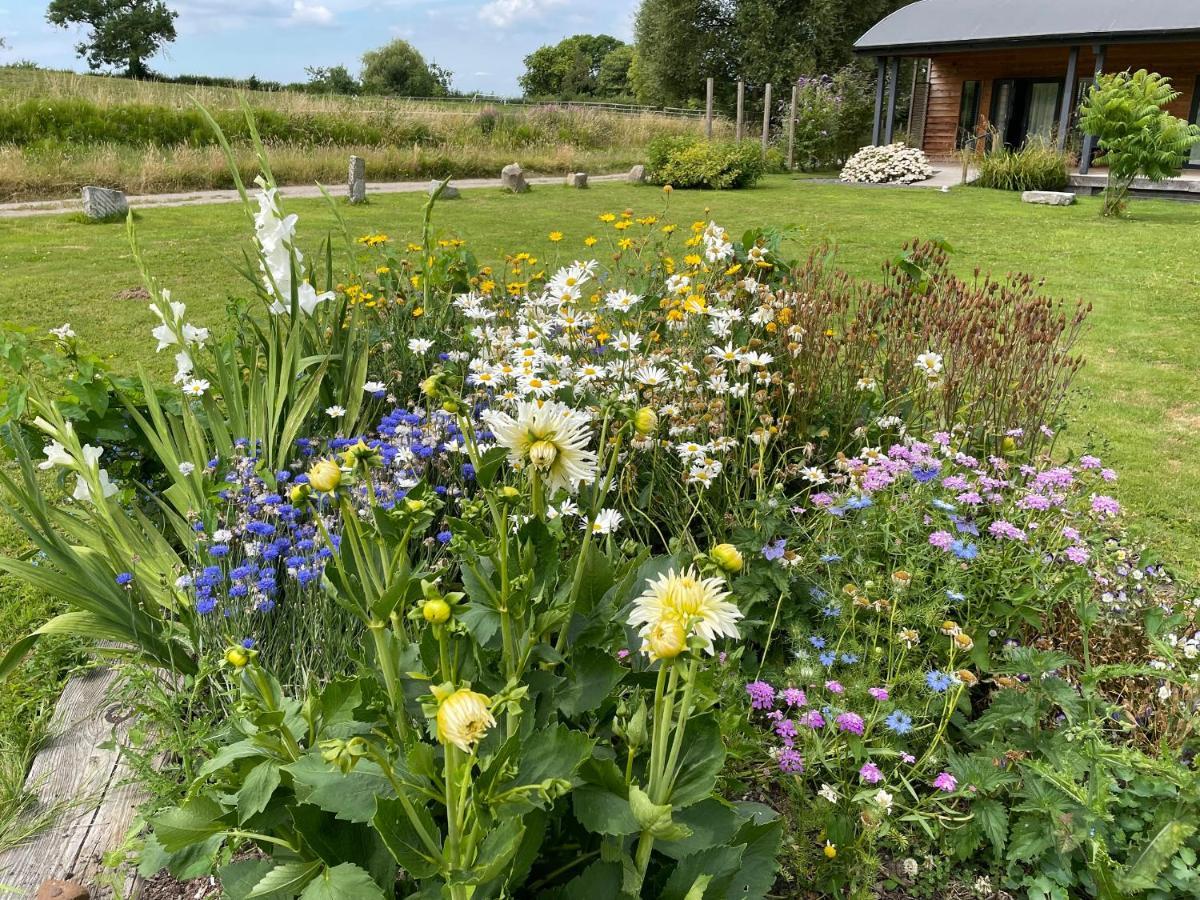 Foxglove Glastonbury Exterior foto