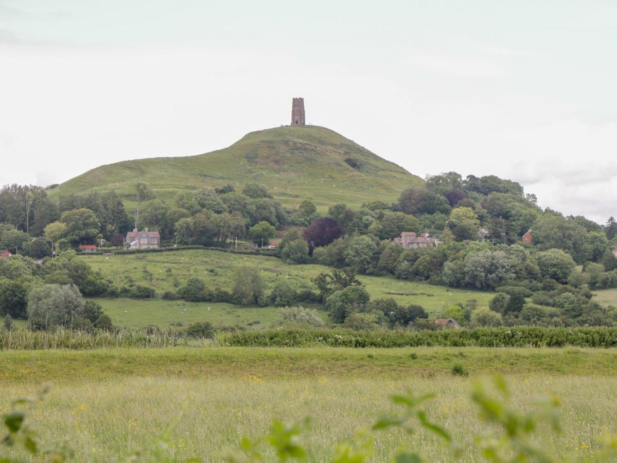 Foxglove Glastonbury Exterior foto